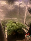 Day 25