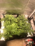 Day25
