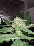 IMG_20200107_193528