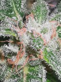 IMG_20200122_012026