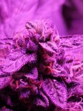 IMG_20200124_164014