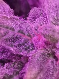 IMG_20200131_170432