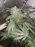 IMG_20200204_133553