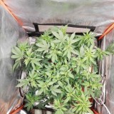 IMG_20200515_130211