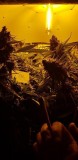 20180627_220647