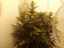 IMG_20200516_135225