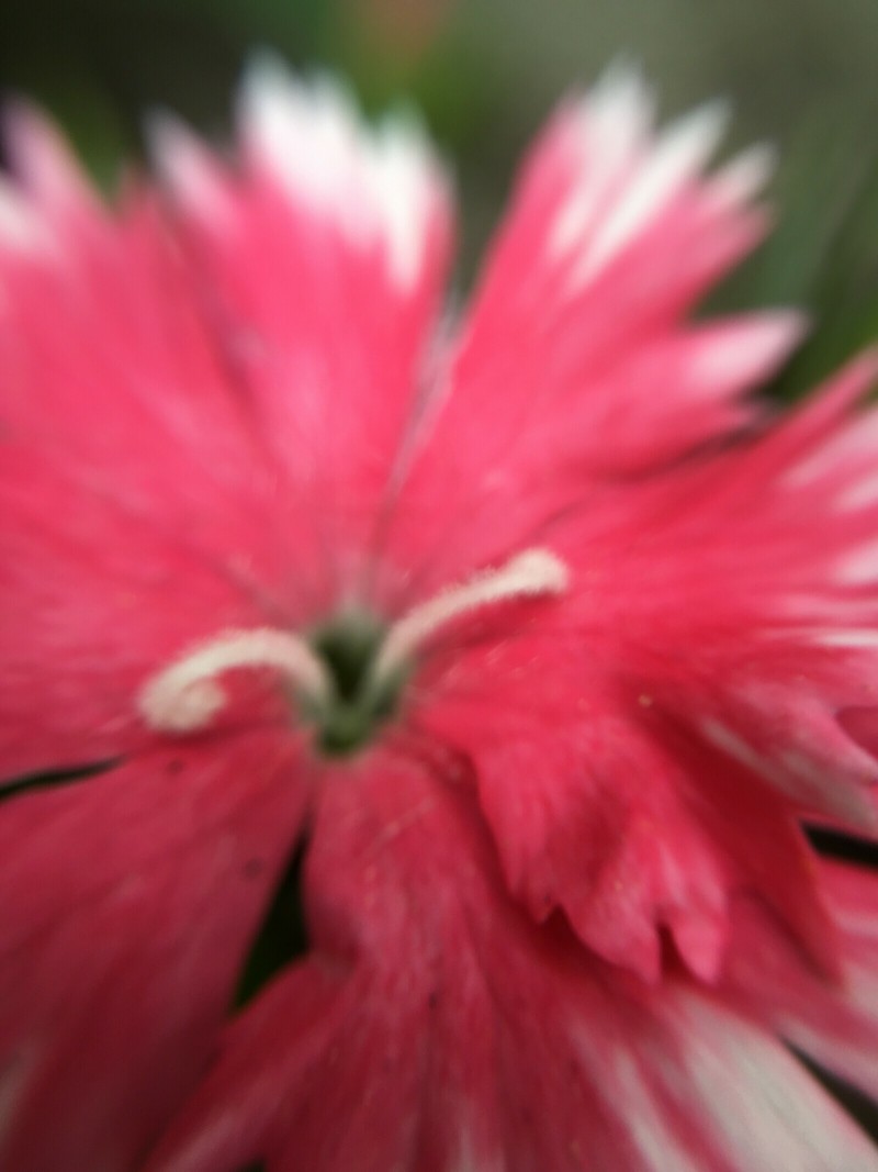 C35380A9-0281-4B70-BB3D-73CEC8C6C3E0
