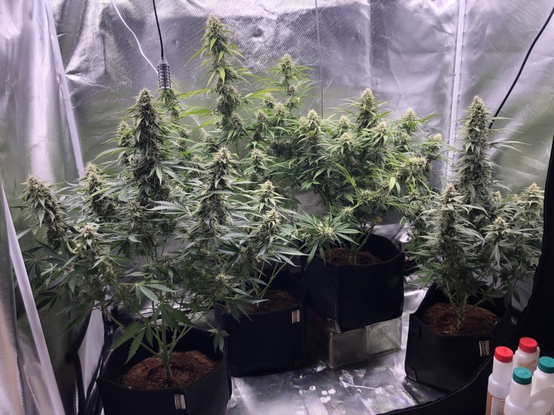 Day53