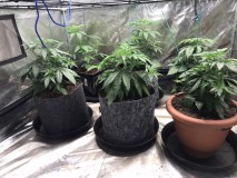 Day 27