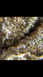 5E1D2746-A9AB-4258-B8E0-6E6B7062E8C3