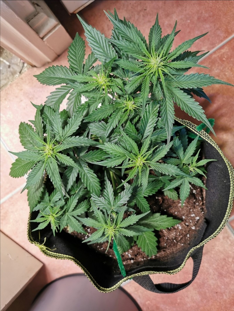 Week 5