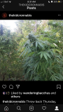 073242FB-919C-4C9B-BA25-23555D671C6A