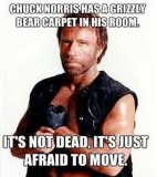 Chuck-Norris-Bear