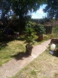 IMG_20200705_132313