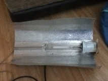 600w hps