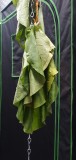 IMG-20200709-WA0006