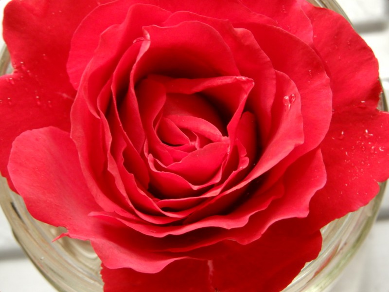 DSCN0827
