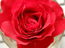 DSCN0827