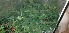 IMG-20180731-WA0047