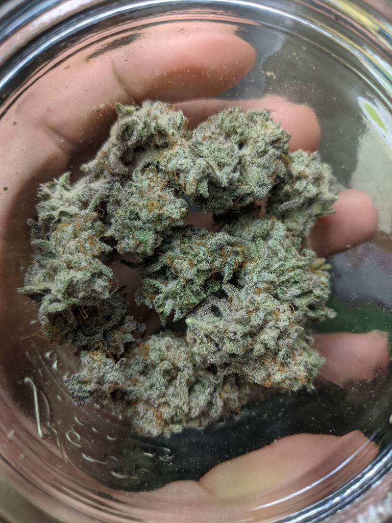 MAC1