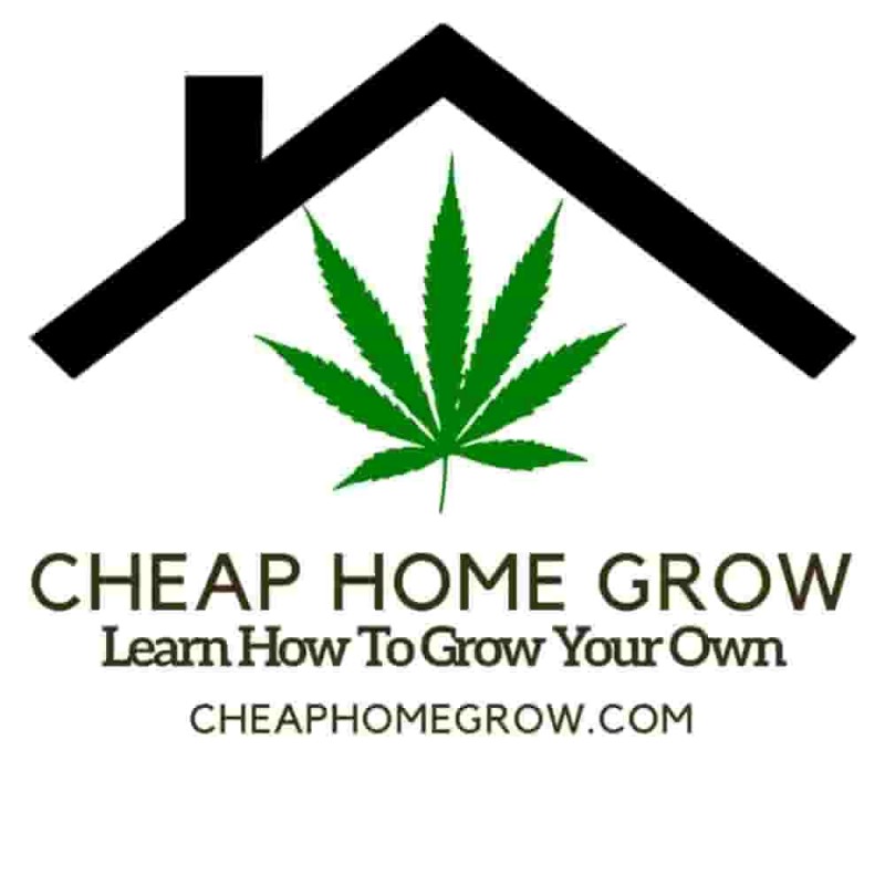 CHG