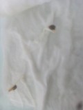 IMG_20200730_090859