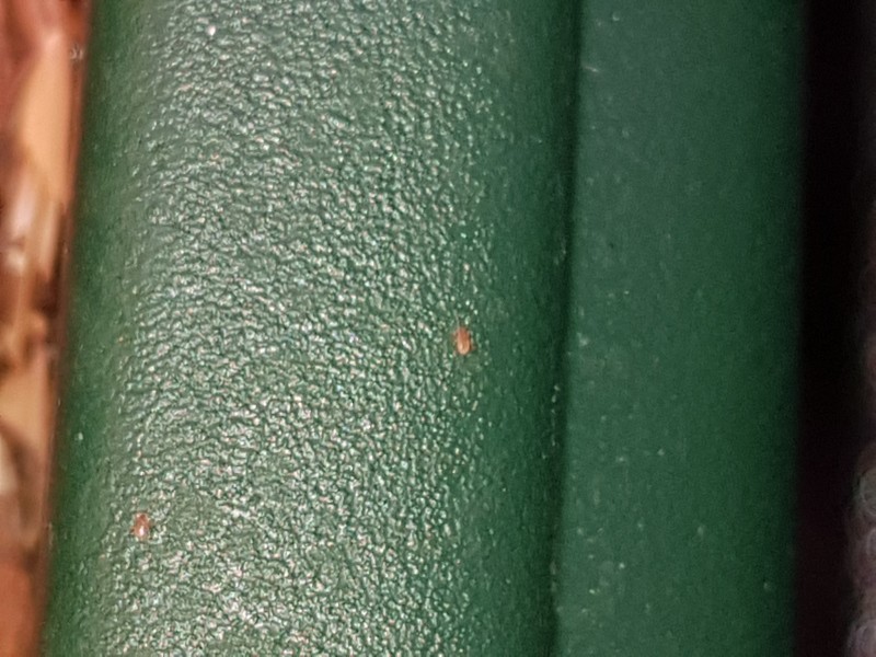 20200730_125953