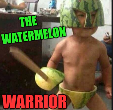 WaterMelonWarrior