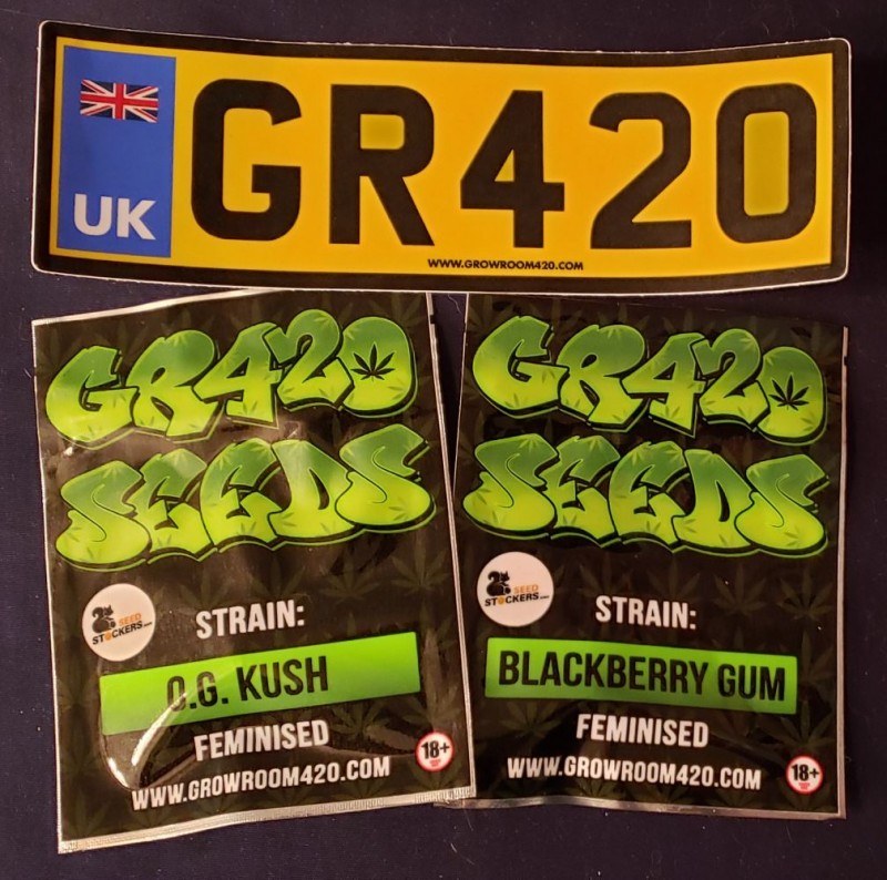 2020-08-03 23.03.49