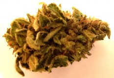 Chem OG