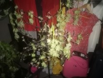 IMG_20200812_094913