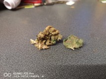 IMG_20200812_203714