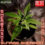 Sherboldt