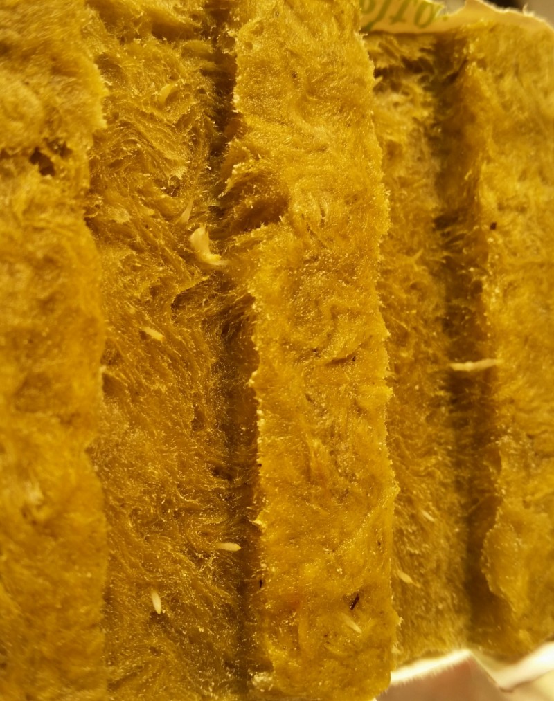 2020-08-14 12.47.05