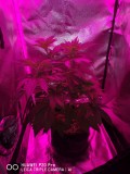IMG_20200815_091107