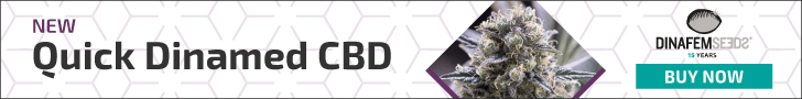 banner-dnf-2020-728x90