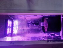 20200715_174116