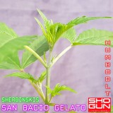 1597853732811_resize_66