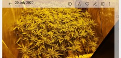Screenshot_20200823_132209_com.android.gallery3d
