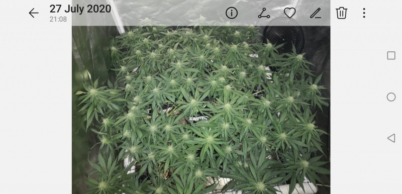 Screenshot_20200823_132250_com.android.gallery3d