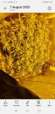 Screenshot_20200823_132353_com.android.gallery3d