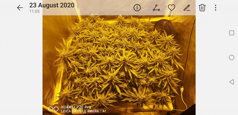 Screenshot_20200823_132507_com.android.gallery3d