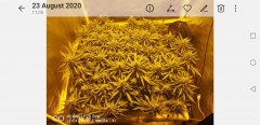 Screenshot_20200823_132507_com.android.gallery3d