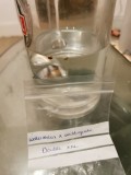 Seeds popped into water