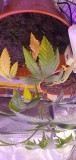 20200910_150306