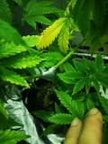 IMG_20200911_210622