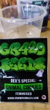 Start-Seeds-in-water-b