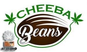 cheeba_beans_high_quality_with_award_3_360x-300x180