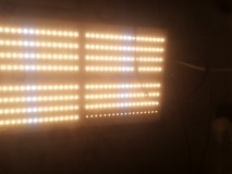 IMG_20200925_074924