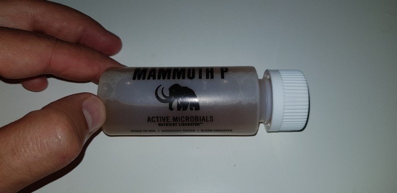 Mammoth P Review